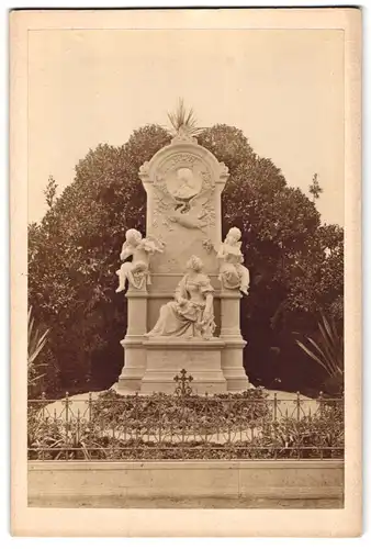 Fotografie unbekannter Fotograf, Ansicht Bonn, Blick auf das Schumanndenkmal, 1880