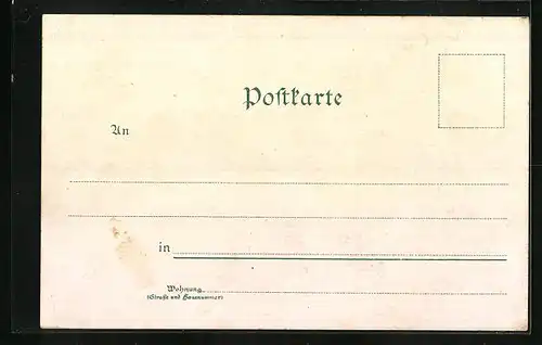 Lithographie Nürnberg, Schoener Brunnen, Eiserne Jungfrau, Totalansicht