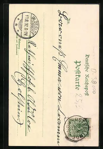 Lithographie Braunschweig, Dom, Löwensäule am Burgplatz