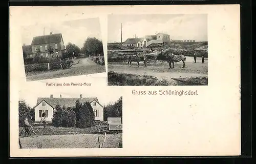 AK Schöninghsdorf, Partie aus dem Provinz-Moor, Zugpferde