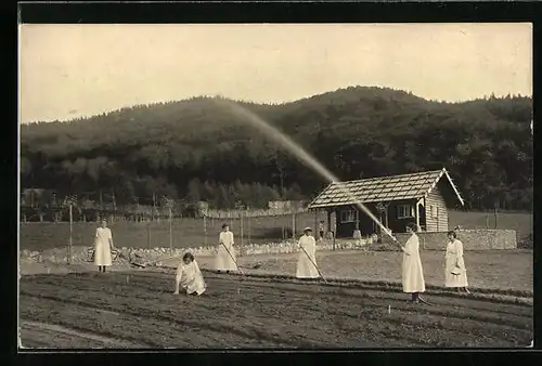 AK Bad Harzburg, Waldsiedlung Wolfsklippen, Gartenbaugelände bei der Sennhütte