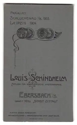 Fotografie Louis Schindhelm, Ebersbach, Junger Bursche mit Bibel in der Hand