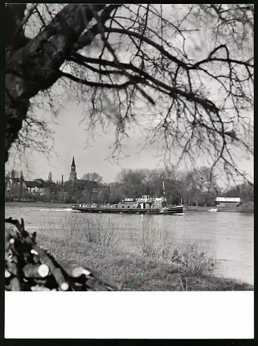 Fotografie unbekannter Fotograf, Ansicht Coswig, Dampfer auf der Elbe am Ortsrand