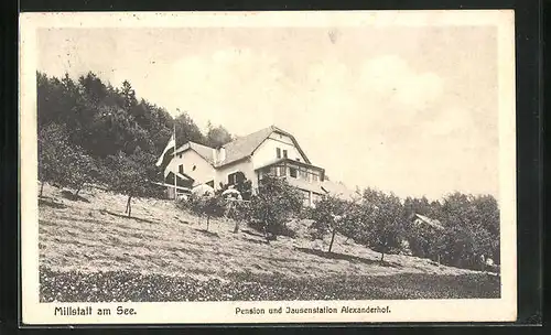 AK Millstatt am See, Hotel Pension und Jausenstation Alexanderhof