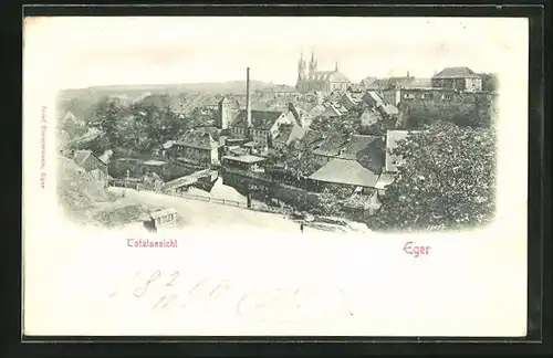 Relief-AK Eger, Blick über die Dächer der Stadt