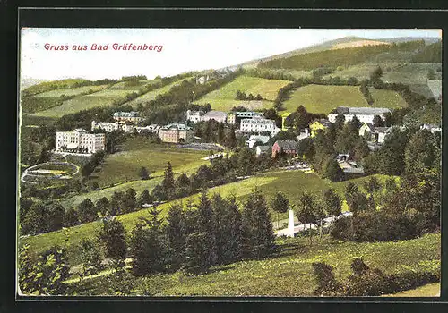 Relief-AK Bad Gräfenberg, Teilansicht der Ortschaft