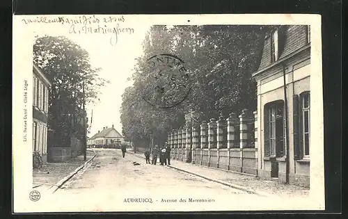 AK Audruicq, Avenue des Marroniers