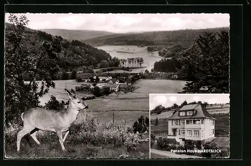 AK Weidenhausen /Gladenbach, Christliches Erholungsheim Haus Hardtblick