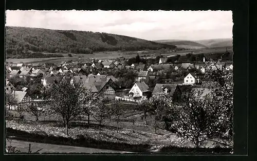 AK Gieselwerder /Weser, Ortspartie und Landschaft