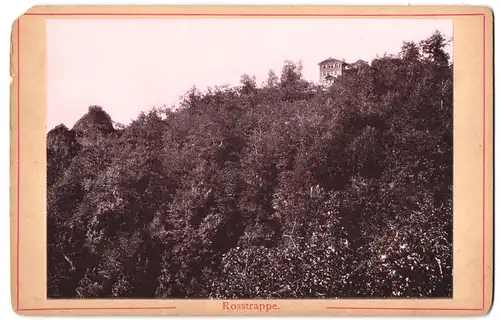 Fotografie unbekannter Fotograf, Ansicht Thale, Blick auf die Rosstrappe