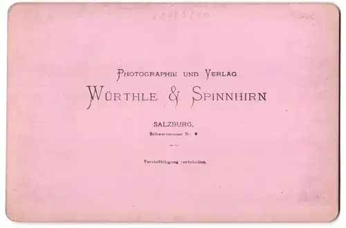 Fotografie Würthle & Spinnhirn, Salzburg, Ansicht Traunkrichen, Blick auf den Ort gegen den Spitzelstein