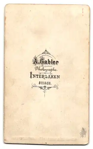 Fotografie A. Gabler, Interlaken, Ansicht Lauterbrunnen, Blick auf den Trümelbach