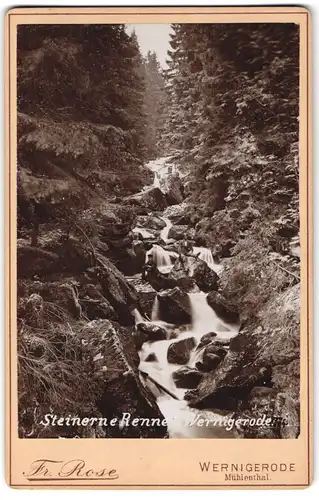 Fotografie Fr. Rose, Wernigerode, Ansicht Wernigerode, Blick auf die steinerne Renne