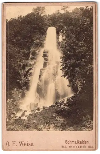 Fotografie O. H. Weise, Schmalkalden, Steingasse 263, Ansicht Trusetal, Trusetaler Wasserfall, 1892