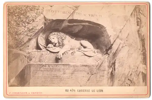 Fotografie F. Charnaux, Geneve, Ansicht Lucerne, Lucerne le Lion, Löwe