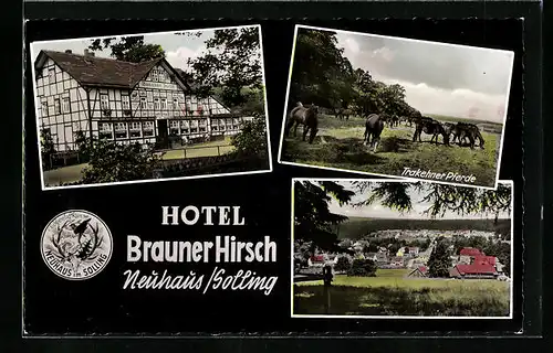 AK Neuhaus /Solling, Hotel Brauner Hirsch