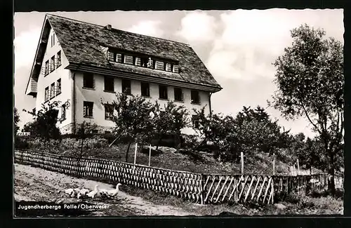 AK Polle /Oberweser, Jugendherberge und Gänse