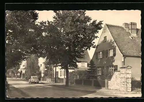 AK Güsen, Strassenpartie am Breiteweg