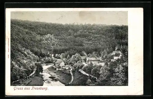 AK Treseburg, Totalansicht mit Wald