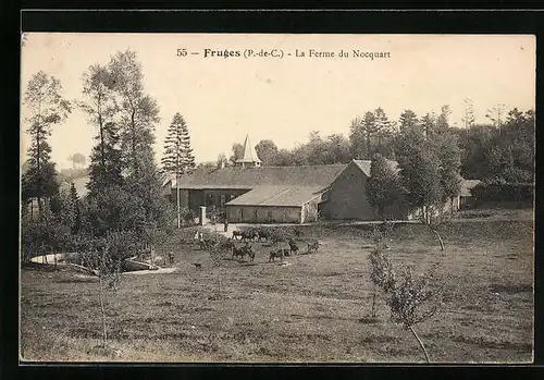 AK Fruges, La Ferme du Nocquart