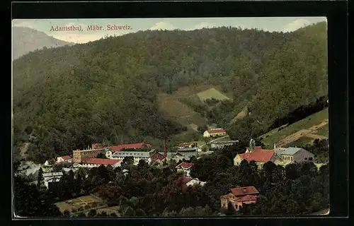 AK Adamsthal, Totalansicht mit Bergwald