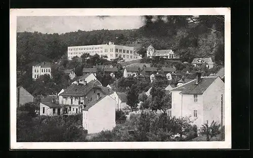 AK Brünn / Brno, Panorama