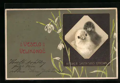 Präge-AK Atelier Smith Sons in London, Schwarzes und weisses Osterküken