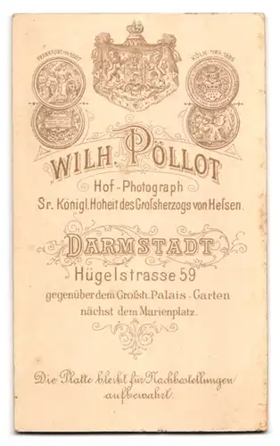 Fotografie Wilh. Pöllot, Darmstadt, Hügelstrasse 59, Dame im bestickten Kleid