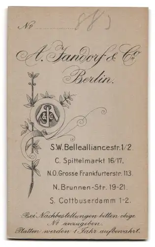 Fotografie A. Jandorf & Co, Berlin, Bellealliancestrasse 1 /2, Dame in dunklem Kleid mit hochgesteckter Haartracht