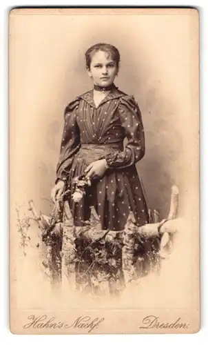 Fotografie Hahn`s Nachfolger, Dresden, Waisenhaus-Strasse 34, Junge Dame in gepunktetem Kleid am Zaun