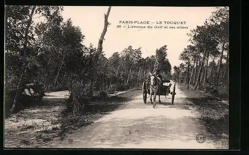 AK Paris-Plage, L`avenue du Golf et ses allées