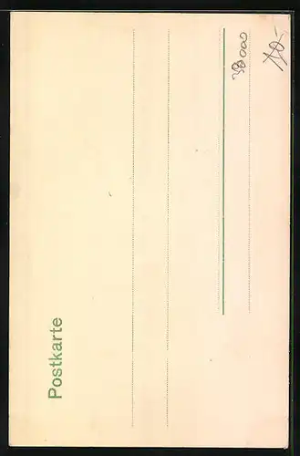 AK Braunschweig, Meinhardshof, Strassenpartie