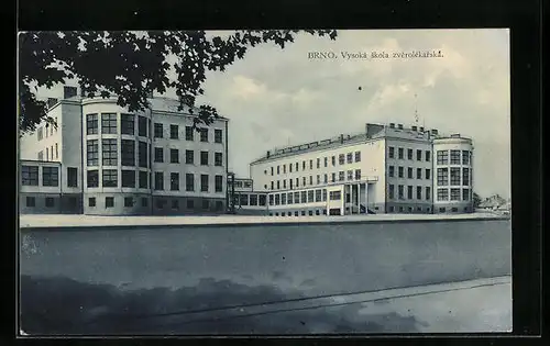 AK Brünn / Brno, Vysoká skola zverolékarska
