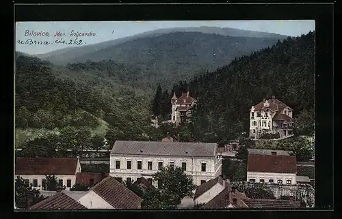AK Bilovice, Panorama