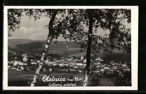 AK Olesnice na Mor., Celkovy pohled