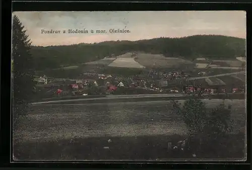 AK Mor. Olesnice, Panorama