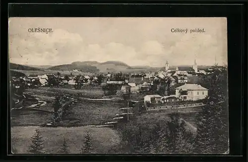 AK Olesnice, Celkovy pohled