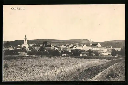 AK Olesnice, Panorama