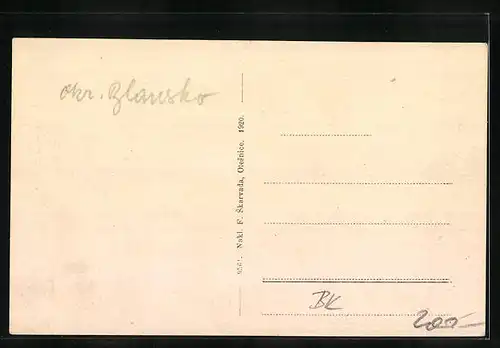 AK Olesnice, Panorama