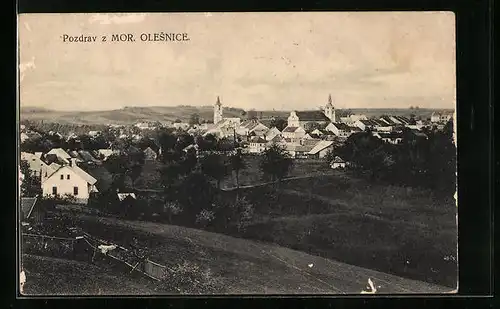 AK Mor. Olesnice, Panorama