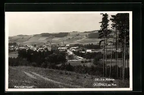 AK Olesnice na Mor., Panorama