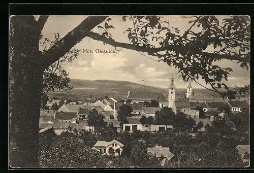 AK Mor. Olesnice, Panorama