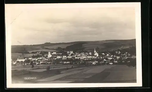 AK Olesnice, Panorama