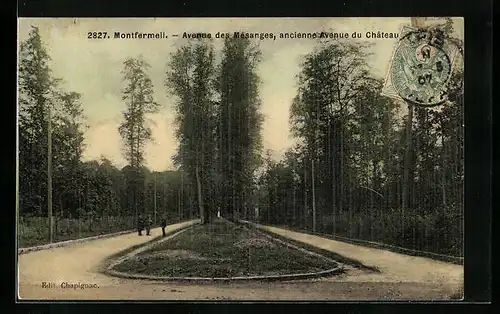 AK Montfermeil, Avenue des Mésanges, ancienne Avenue du Château