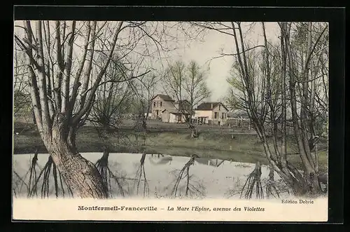 AK Montfermeil-Franceville, La Mare l`Epine, avenue des Violettes