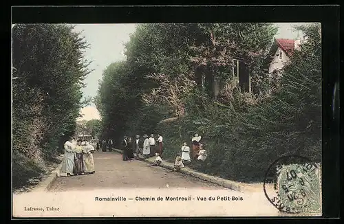 AK Romainville, Chemin de Montreil, Vue du Petit Bois