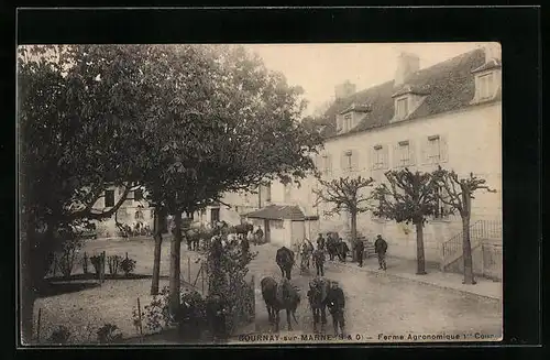 AK Gournay-sur-Marne, Ferme Agronomique 1re Cour