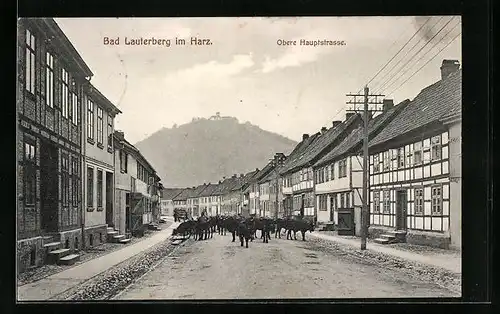 AK Bad Lauterberg im Harz, Kühe auf der Hauptstrasse