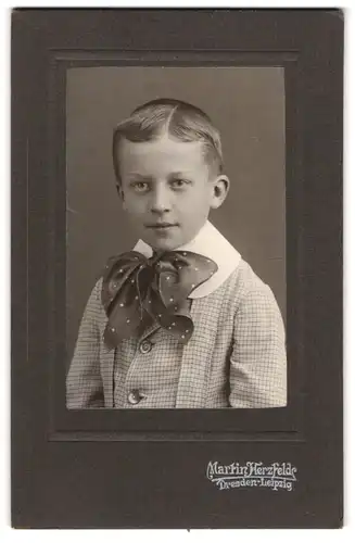 Fotografie Martin Herzfeld, Dresden, Pragerstr. 7, Kleiner eleganter Junge mit grosser Fliege