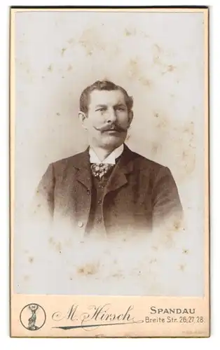 Fotografie M. Hirsch, Berlin-Spandau, Breite Str. 26, Portrait Herr in Anzug mit Schnurrbart